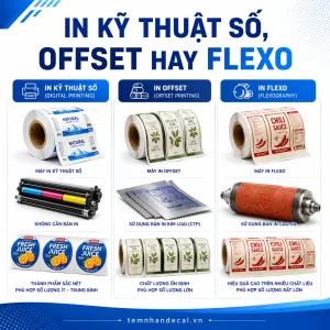 So sánh in kỹ thuật số offset hay flexo cho tem nhãn về số lượng, chi phí, tốc độ, màu sắc và dạng thành phẩm để chọn đúng công nghệ.