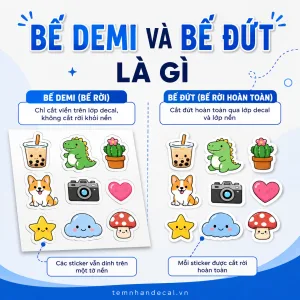 Bế demi và bế đứt khác nhau thế nào? Tìm hiểu cách cắt tem decal, ưu nhược điểm, chi phí và cách chọn quy cách phù hợp khi đặt in.