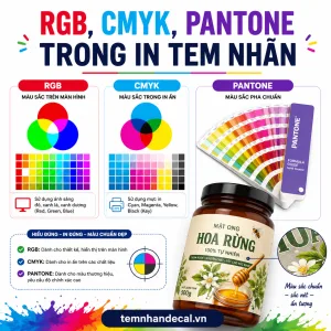 RGB CMYK Pantone trong in tem nhãn khác nhau thế nào? Hướng dẫn chọn hệ màu, chuẩn bị file và hạn chế lệch màu khi thiết kế, in tem nhãn sản phẩm.